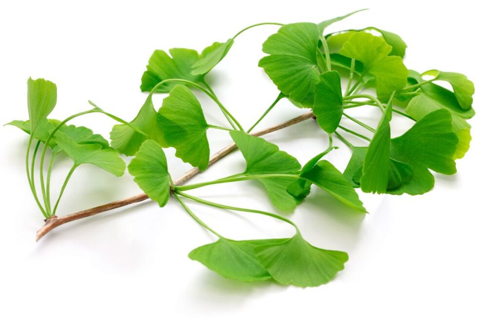 ginkgo biloba in capsules Insuvit